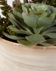 Mesa Succulent Accent - Silver