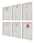 Wild Flourish - Framed Floral Prints (Set of 6) - Light Brown