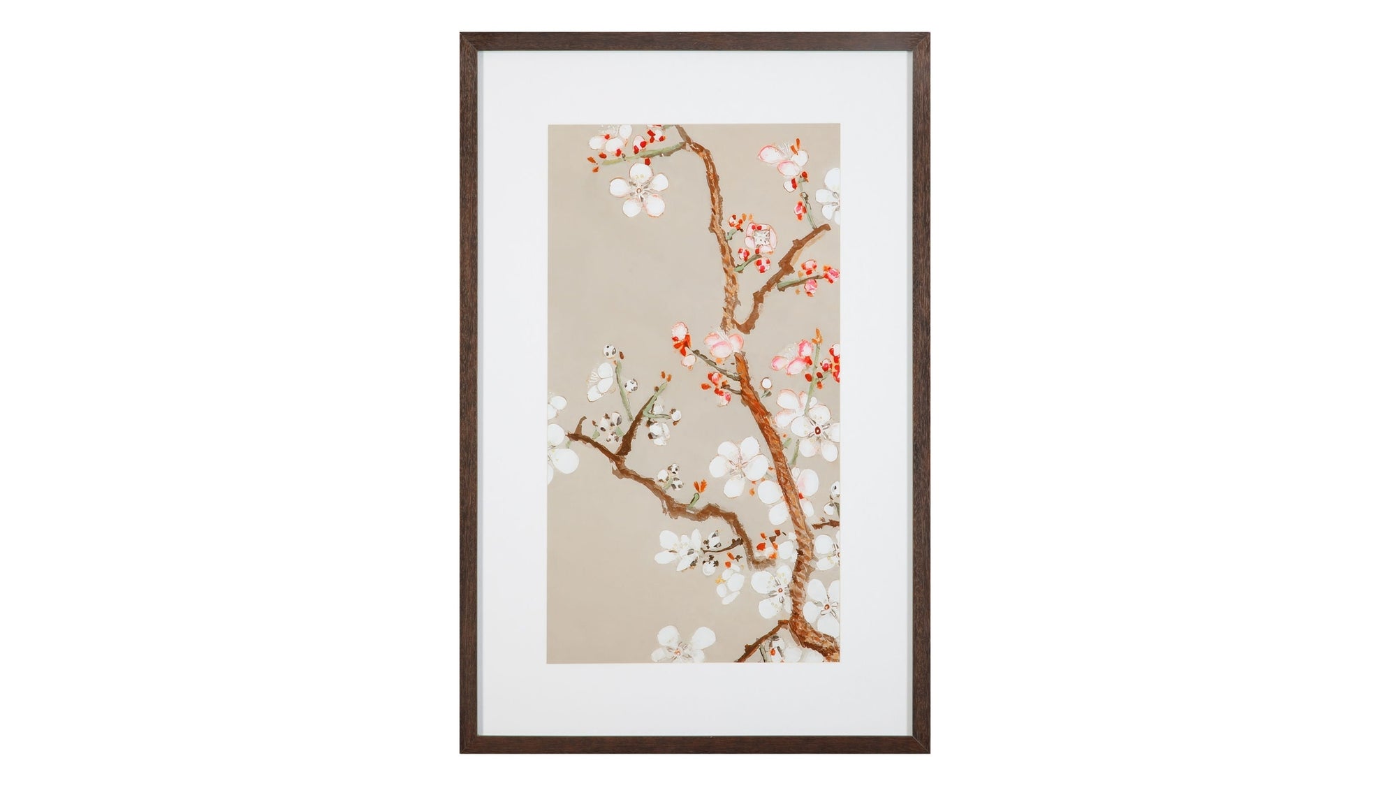 Pear Tree II Framed Print - Cream