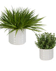Edgewood - Greenery (Set of 2) - Silver