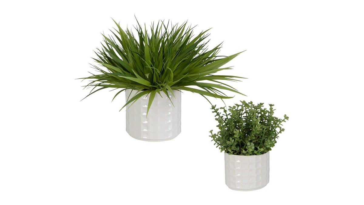 Edgewood - Greenery Set of 2 - Silver