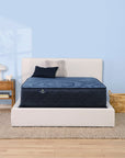 Perfect Sleeper - 14" Euphoric Nights Hybrid Plush Mattress