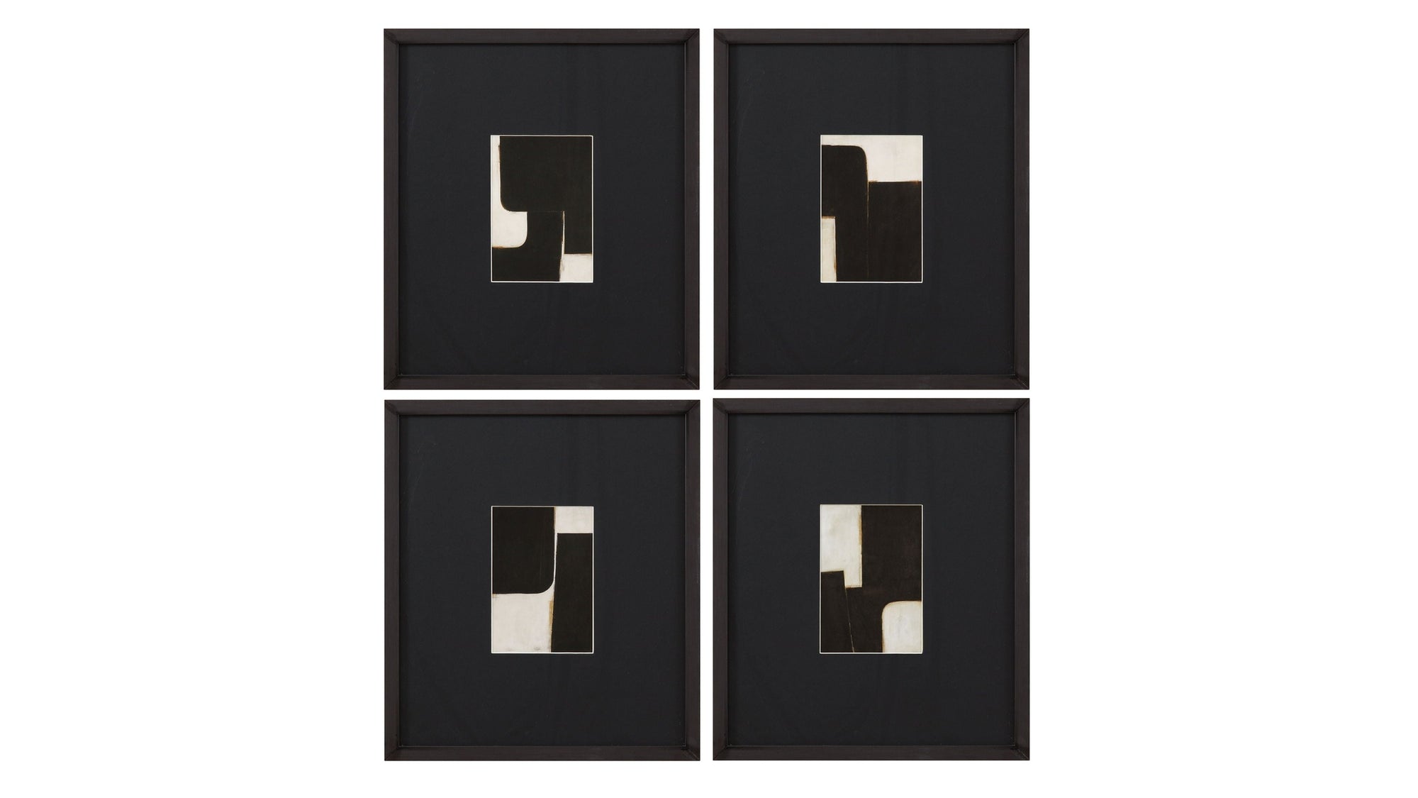 Desert Fragments IV - Black / White