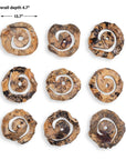 Corkscrew - Wood Wall Decor (Set of 9) - Light Brown