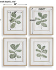 Fiddle Head - Leaf Botanical Prints (Set of 4) - Gold / Green / White