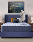 Five Star Mattress - Sleep to Go 14" Plush Mattress in a Box