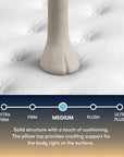Perfect Sleeper - 14" Cascase Canyon Firm Pillow Top Mattress