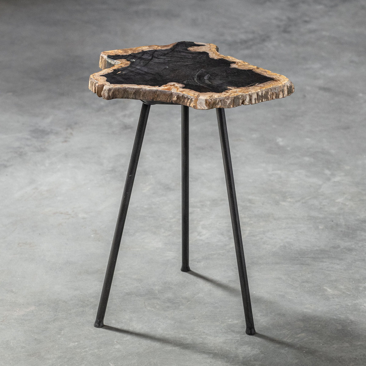 Mircea - Petrified Wood Accent Table - Black &amp; Light Brown