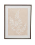 Cystoseira Faeniculacea Framed Print - Beige
