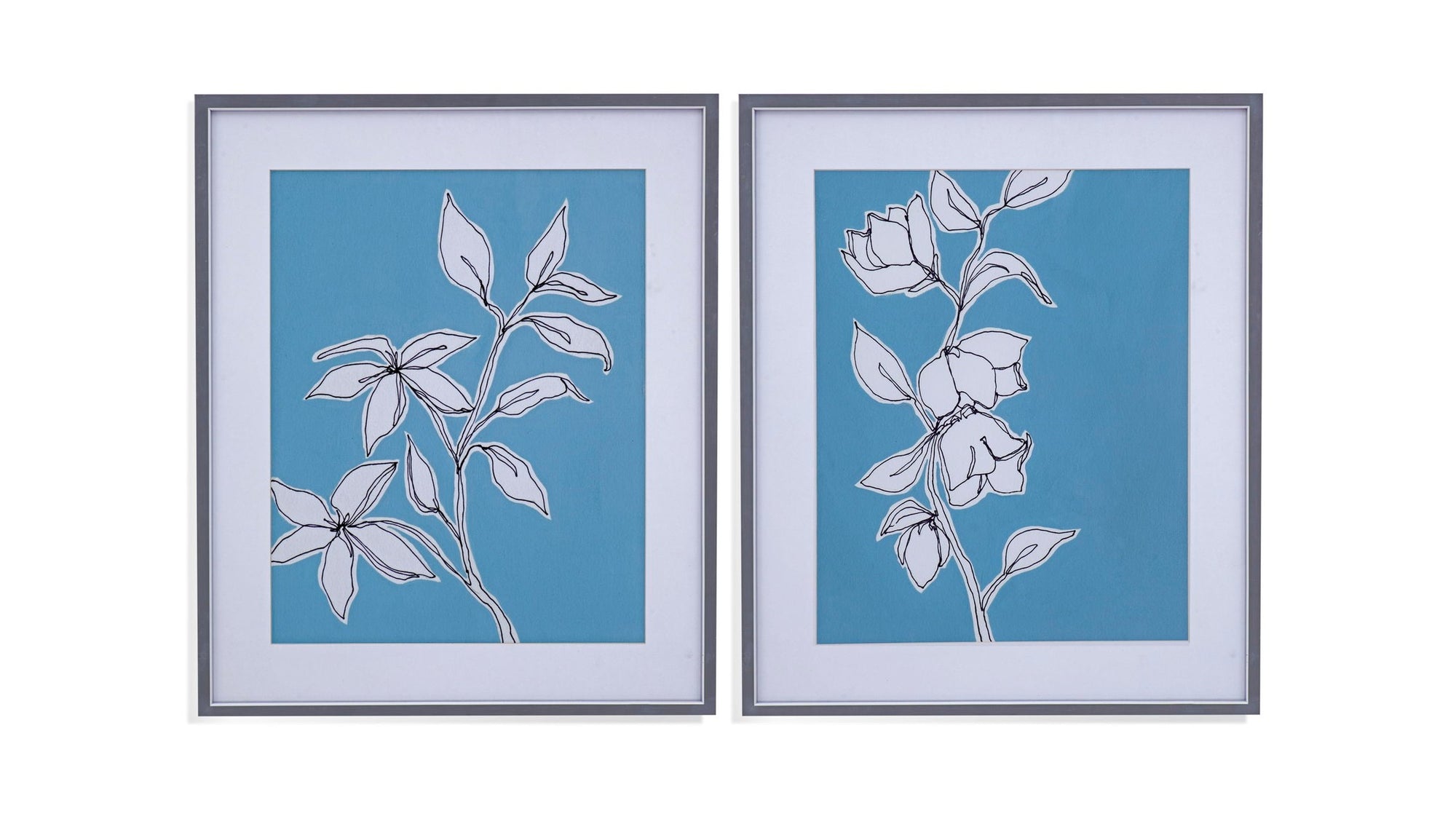 Botanic Drawing II Framed Print - Blue