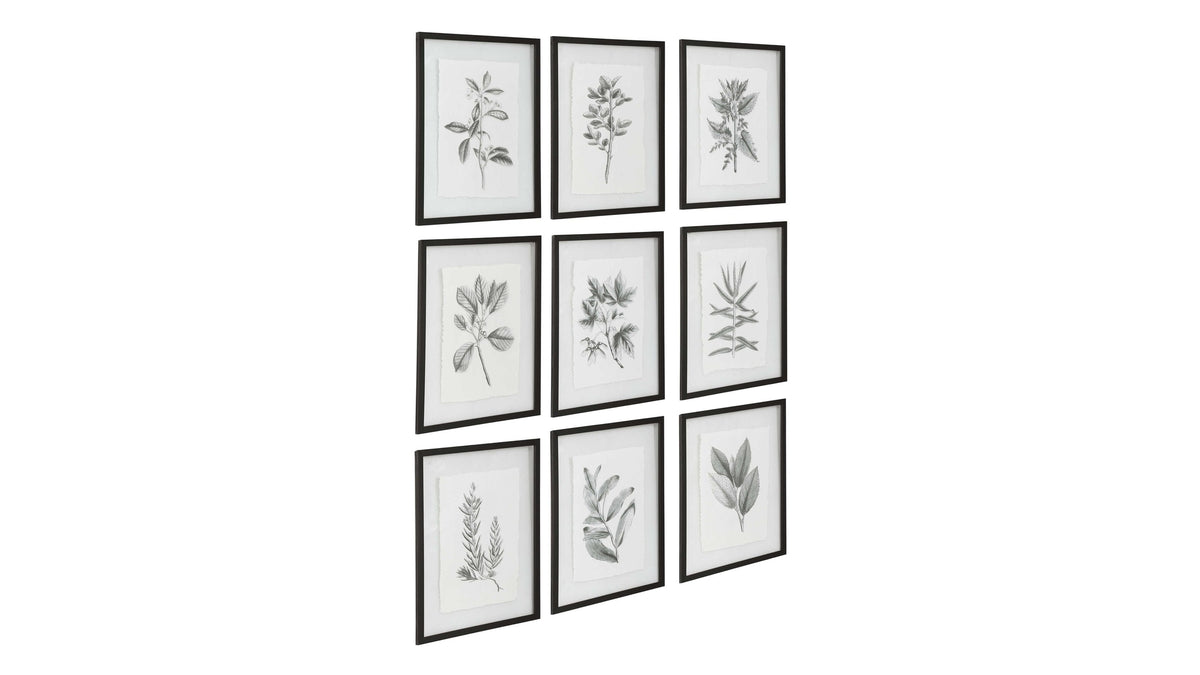 Farmhouse Florals - Framed Prints (Set of 9) - Black