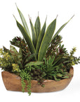 Salar - Succulents In Teak Bowl - Light Brown