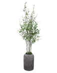 Aldis - Potted River Birch - Gray