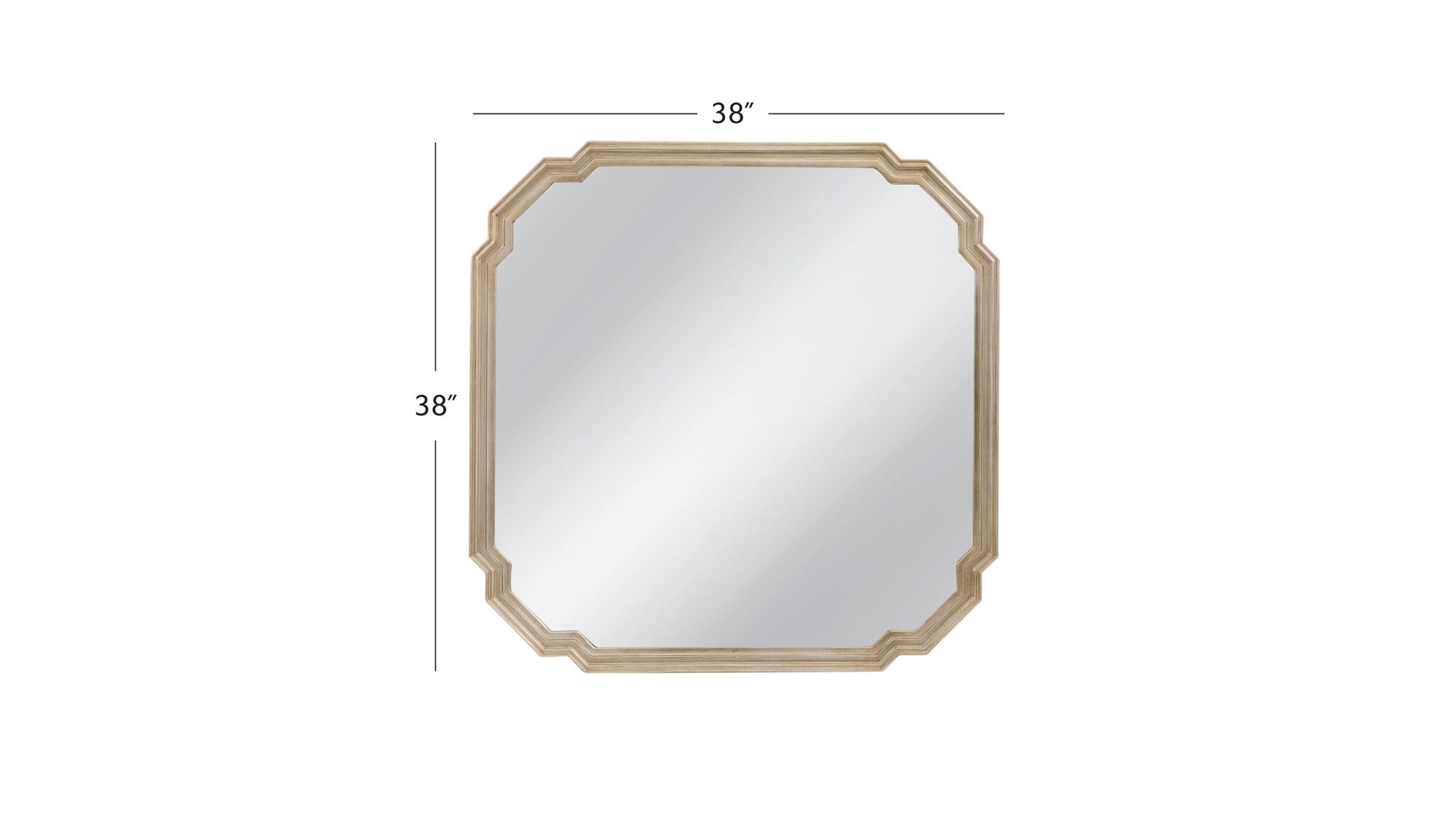 Mimosa - Wall Mirror - Ant Silver Leaf
