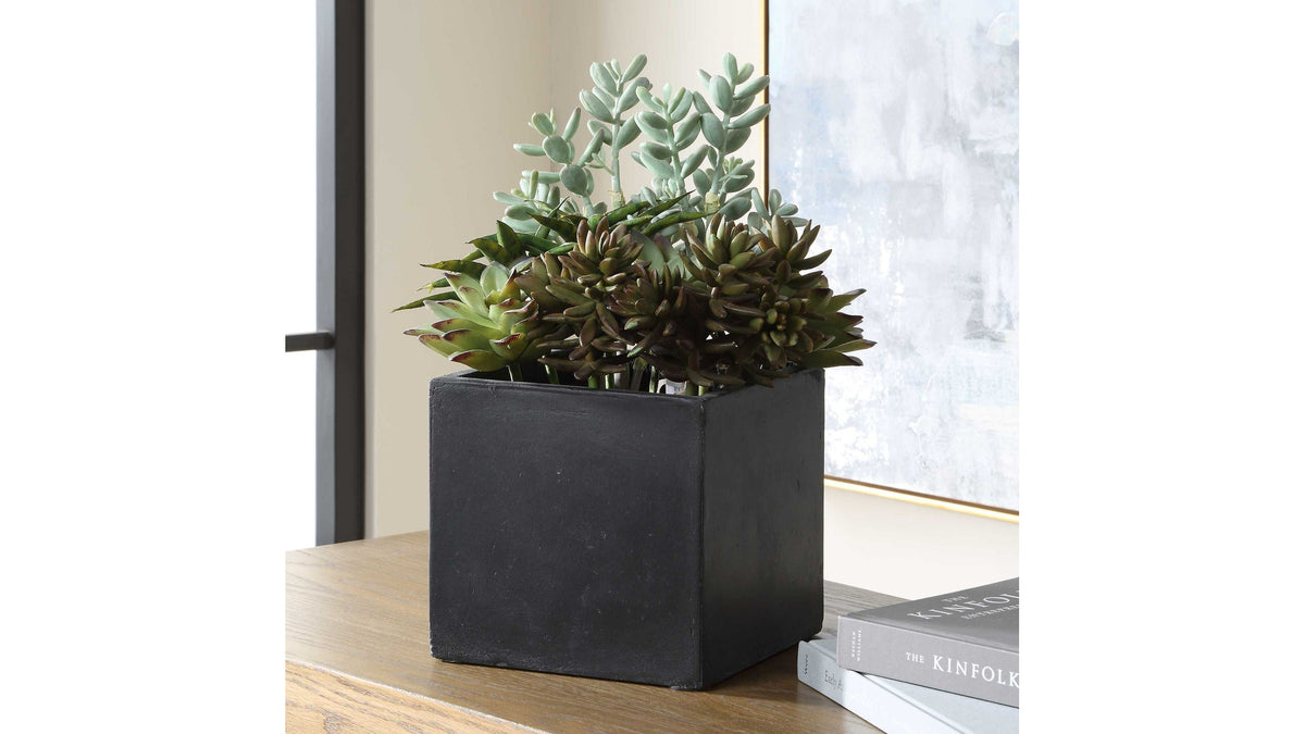 Greystone - Indoor-Outdoor Succulent - Green