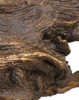 Gilded Branch - Branch - Light Brown