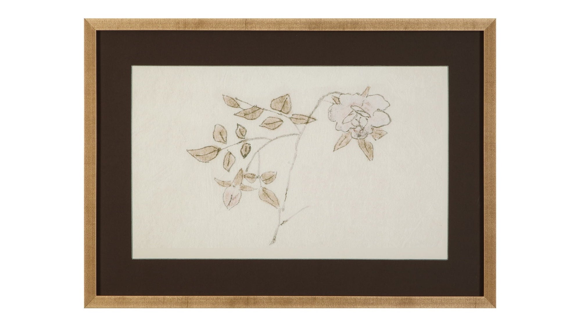 Delicate Rose II Framed Print - Cream