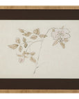 Delicate Rose II Framed Print - Cream