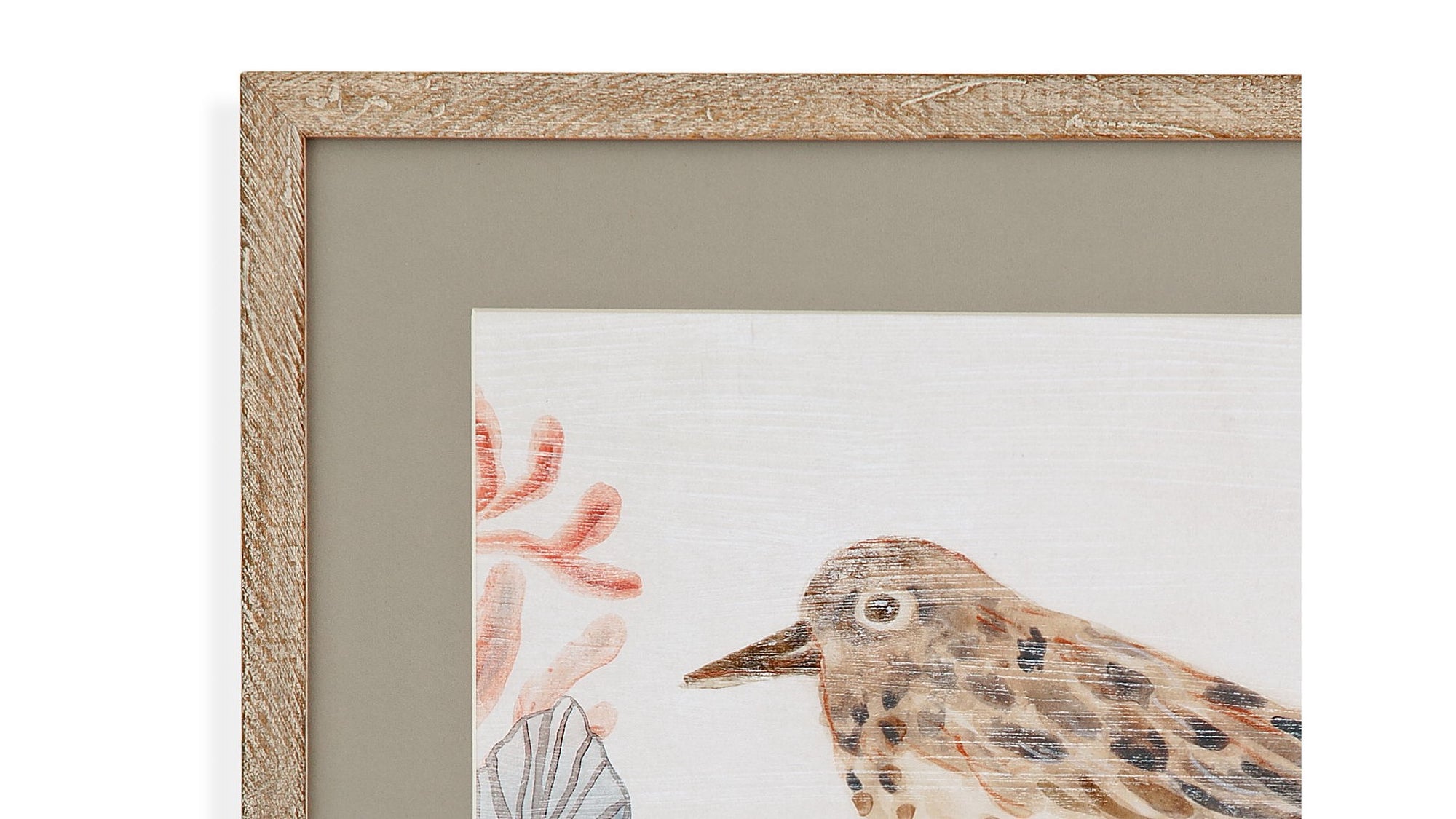 Shell Peppers II Framed Print - White