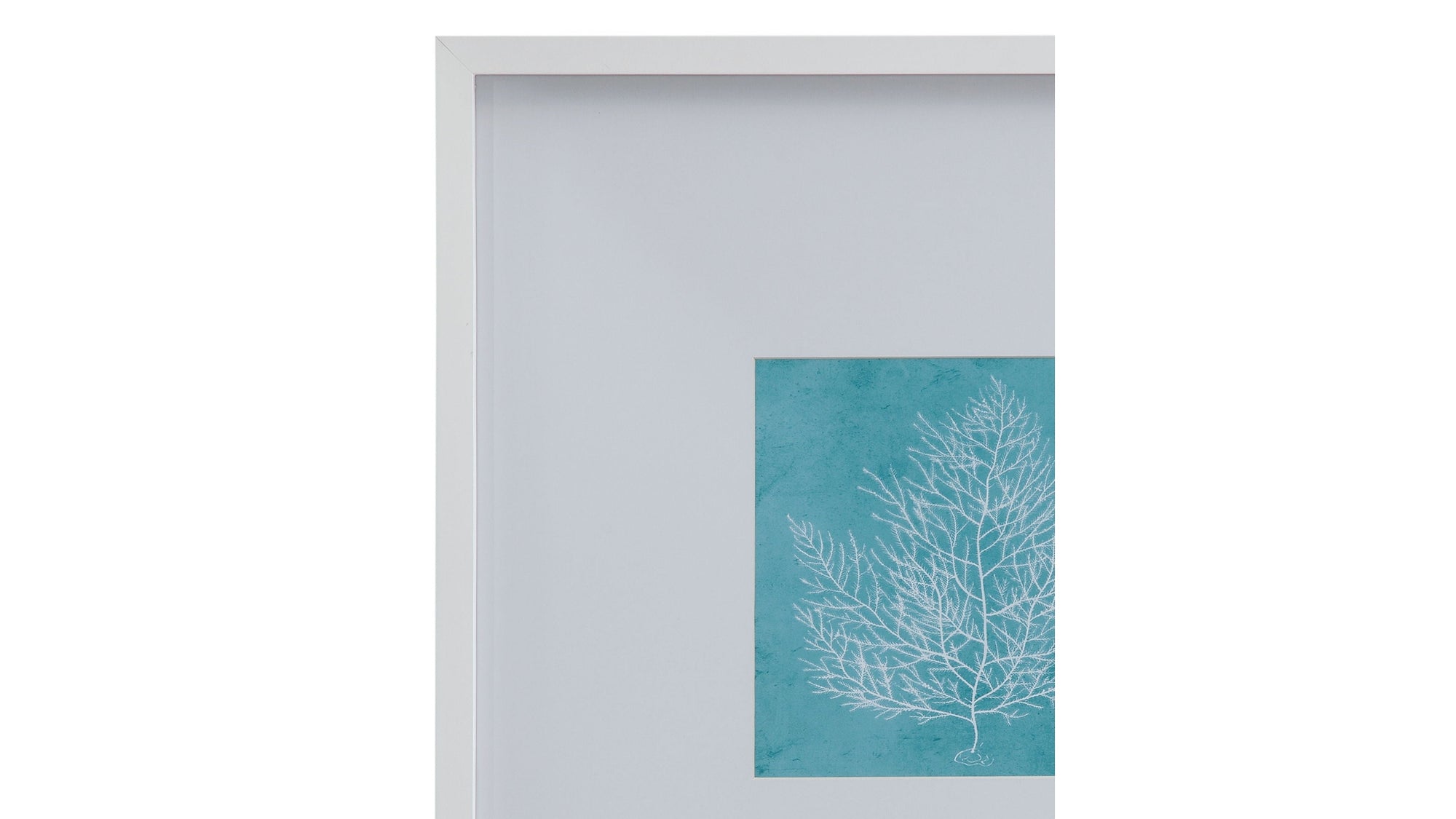White Coral On Blue I Framed Print - Blue / White