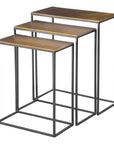 Coreene - Iron Nesting Tables (Set of 3)