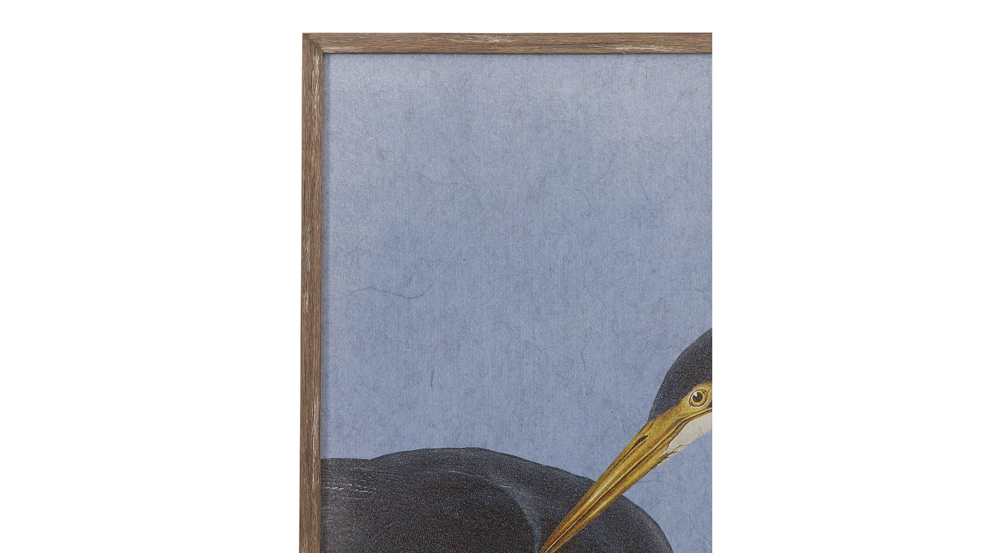 Bayou Heron I Framed Print - Blue / Black