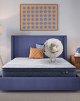 Perfect Day - 10" Serta Plush Pillow Top Mattress in a Box