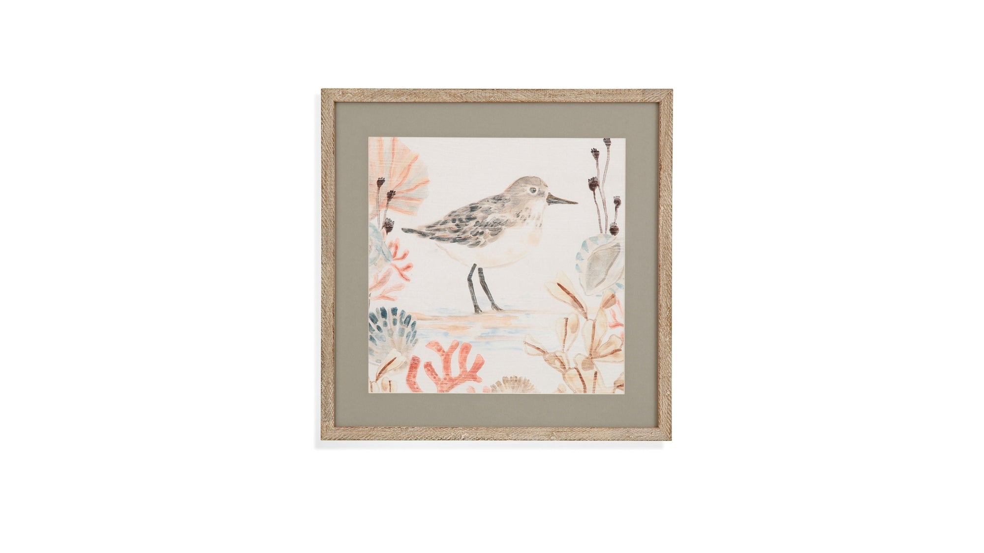 Shell Peppers I Framed Print - White
