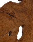 Teak Sculpture Set (Set of 2) - Dark Brown