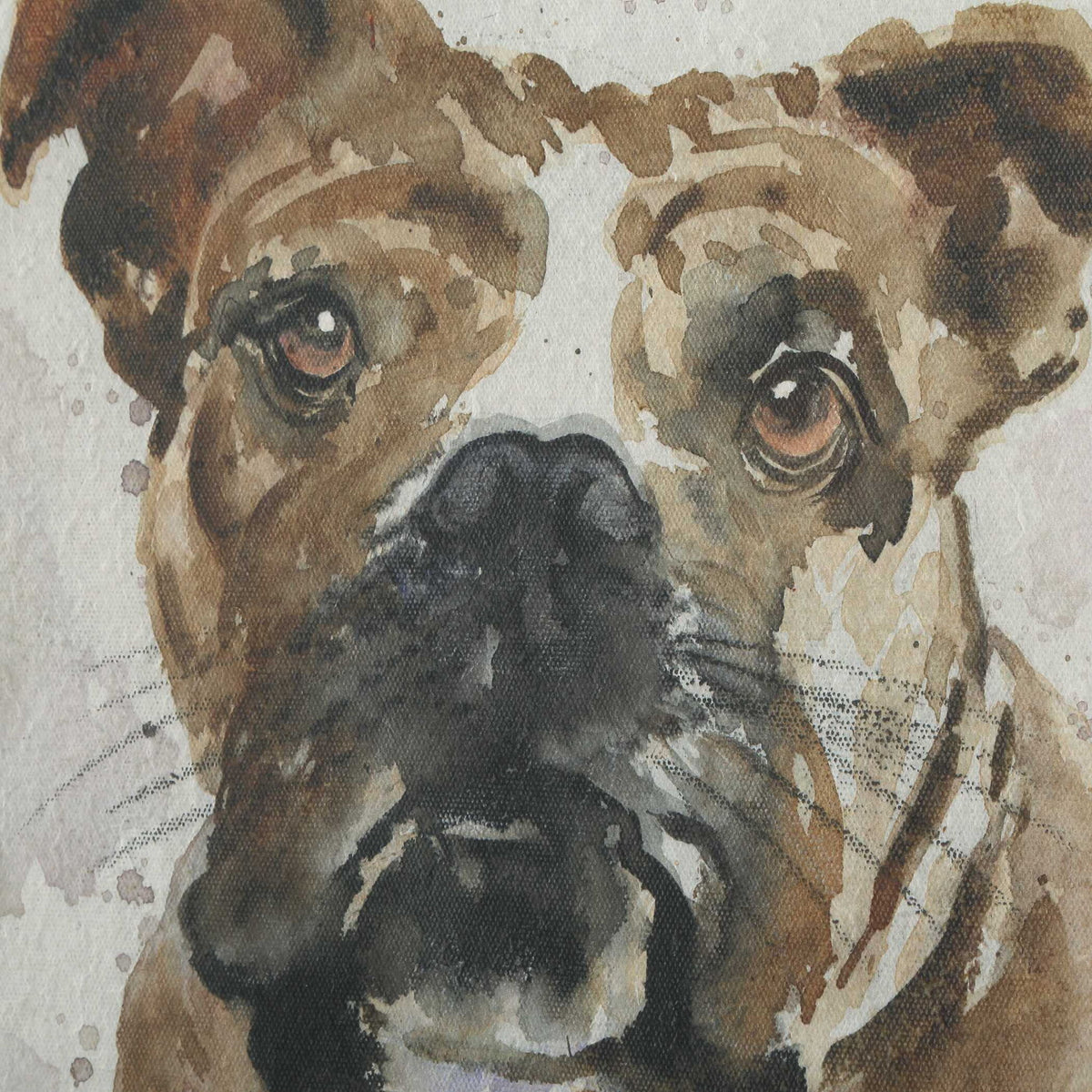 Dog Days - Framed Prints (Set of 4) - Black / Blue / Brown / Gray / Orange / White