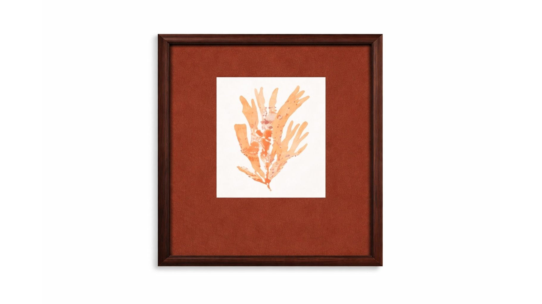Ochre Coral Framed Print - Red