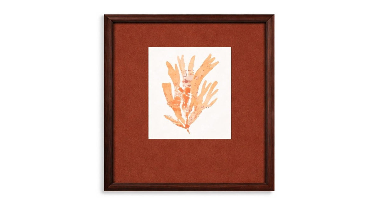 Ochre Coral Framed Print - Red