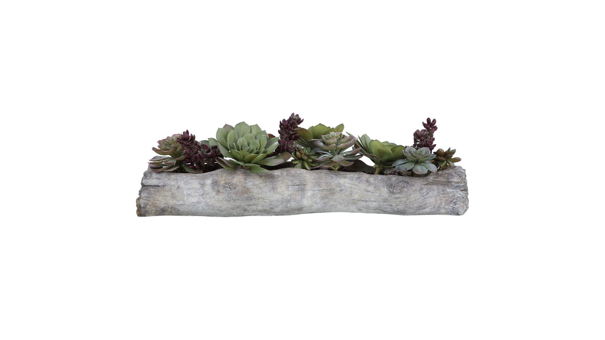 Charita - Lush Succulents - Silver