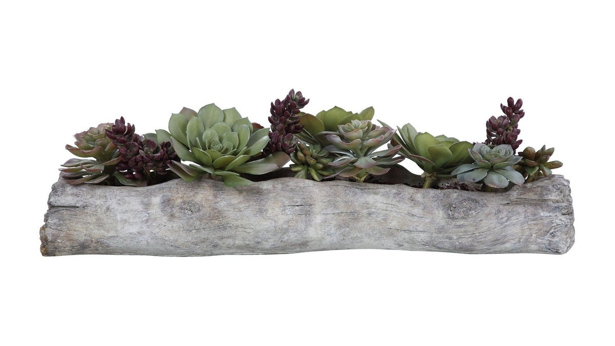Charita - Lush Succulents - Silver