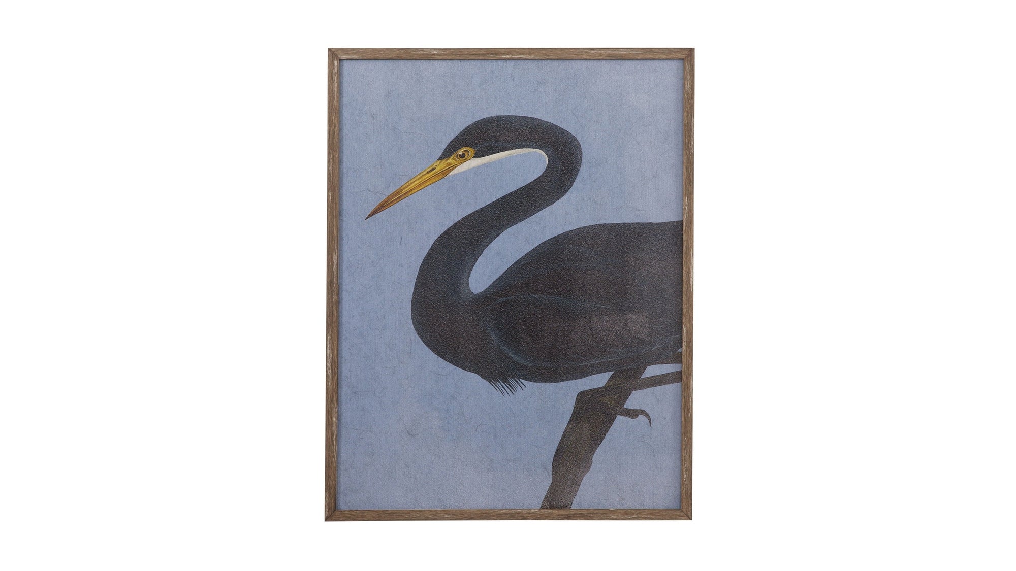 Bayou Heron II Framed Print - Blue / Black