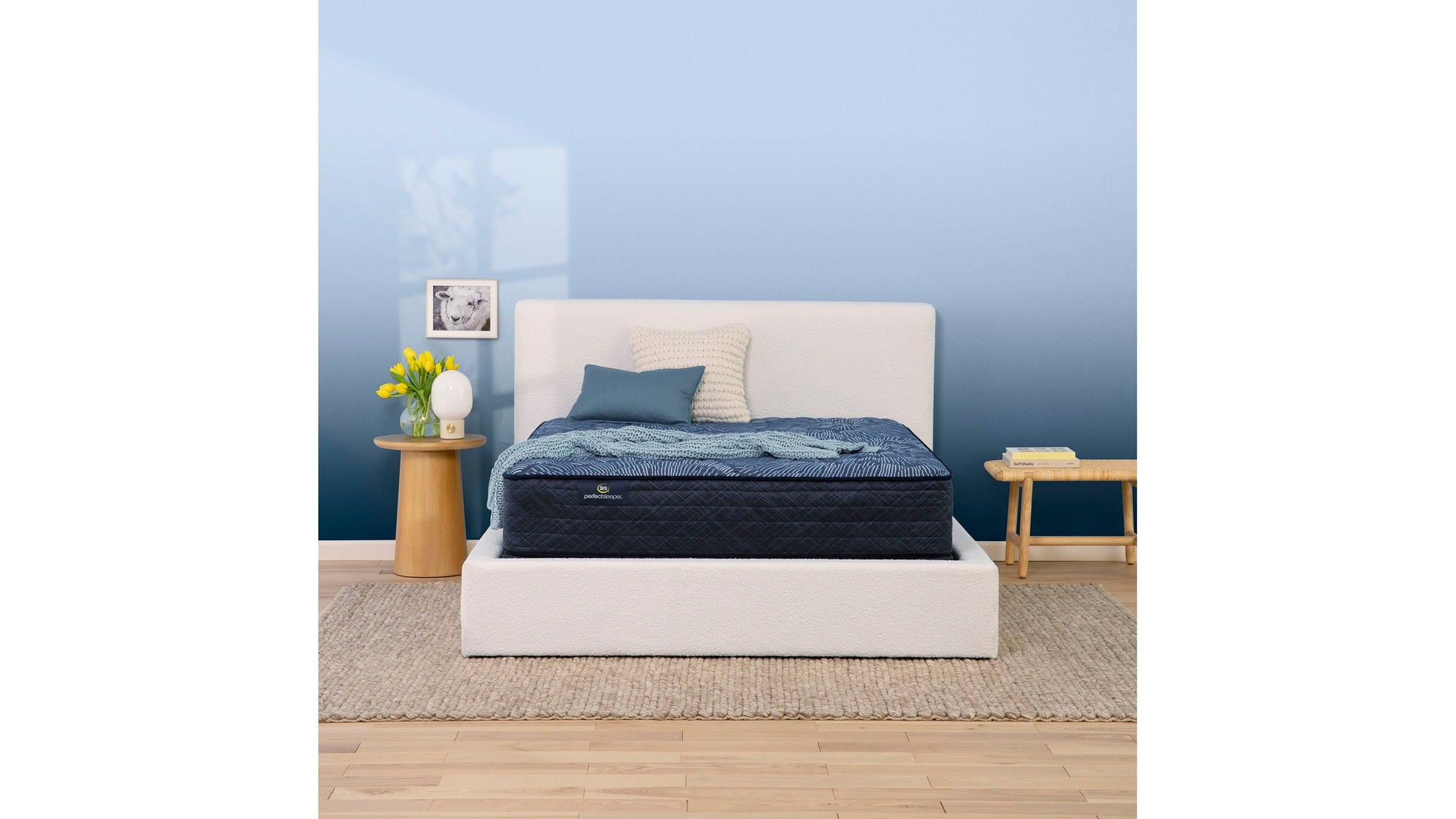 Perfect Sleeper - 12" Cobalt Calm Extra Firm Mattress