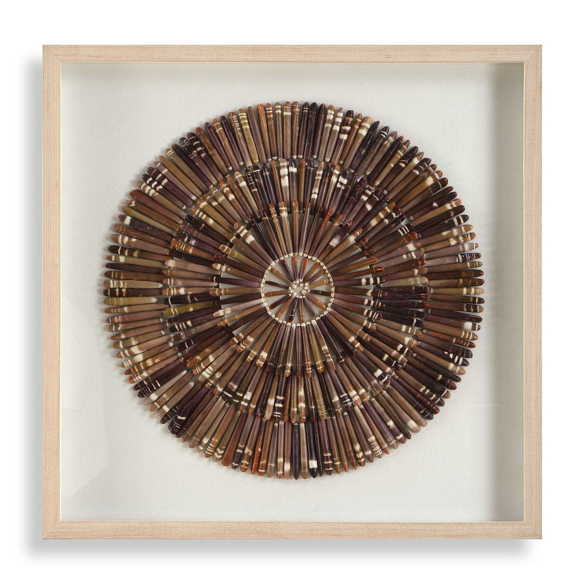 Tiger Sea Urchin - Shadow Box - Brown