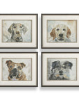 Dog Days - Framed Prints (Set of 4) - Black / Blue / Brown / Gray / Orange / White