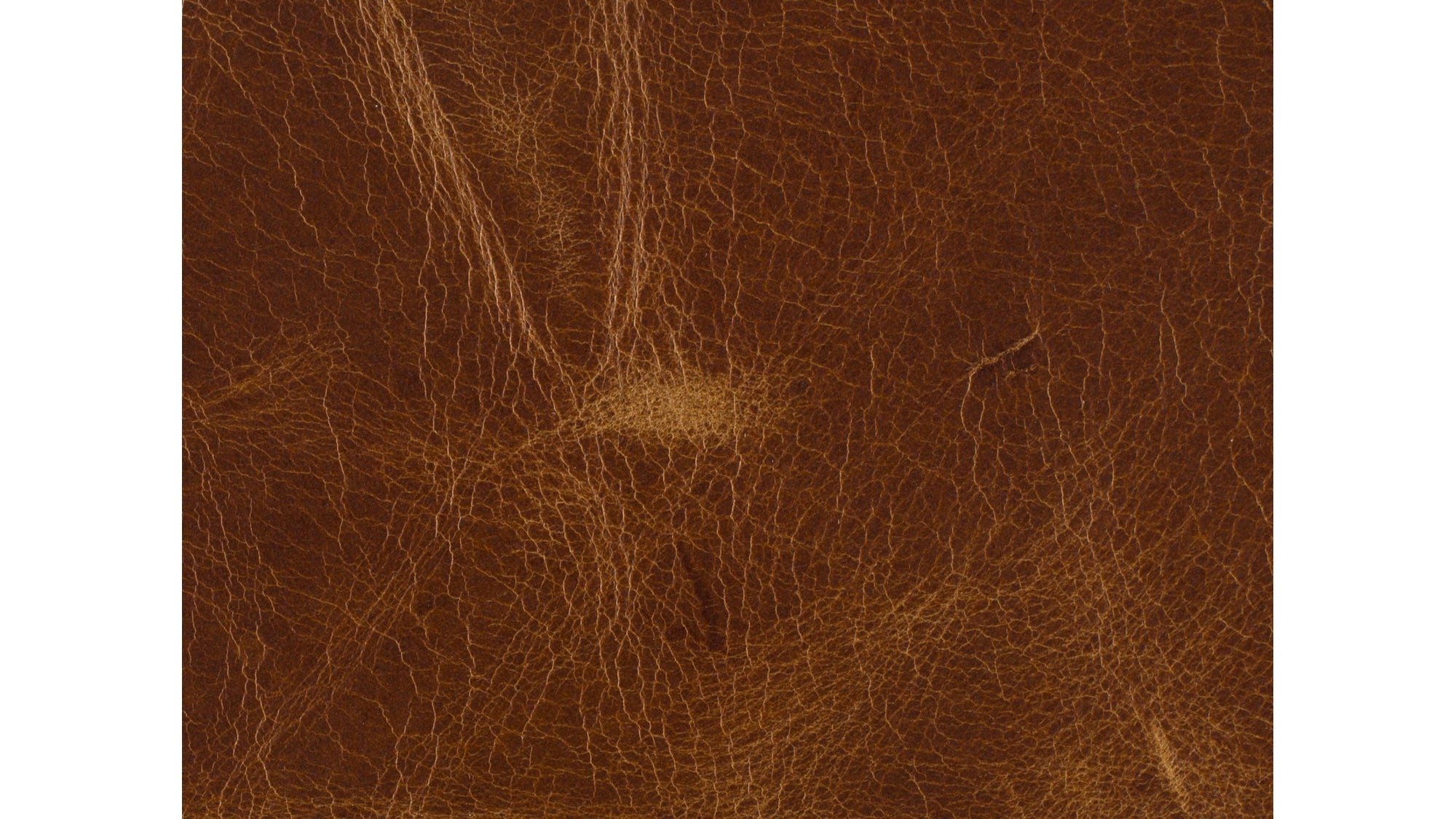SS - Yates Stationary Sofa - Medium Brown