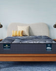 Perfect Sleeper - 12.5" X Aspen Hybrid Firm Mattress
