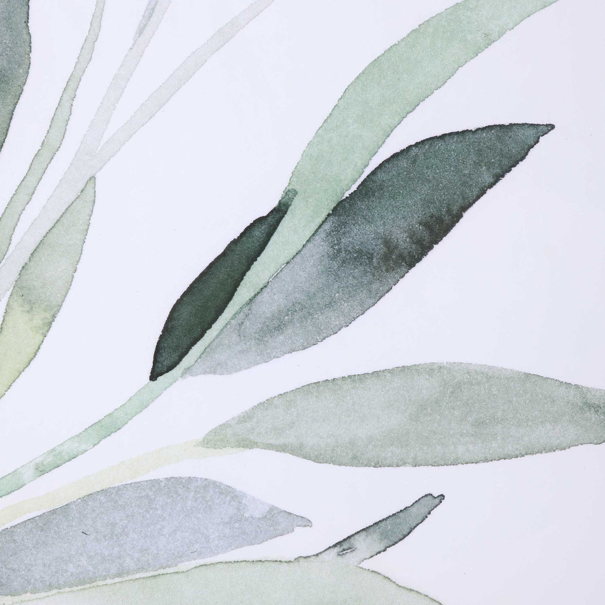 Simple Sage - Watercolor Prints (Set of 3) - White