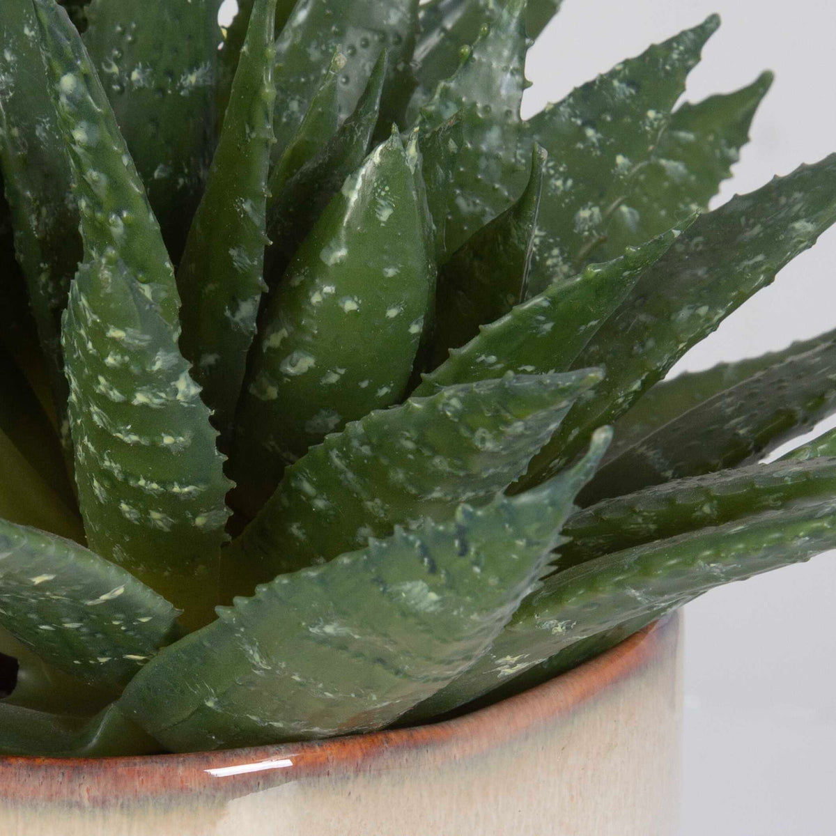 Doha - Succulent Accent - Light Gray
