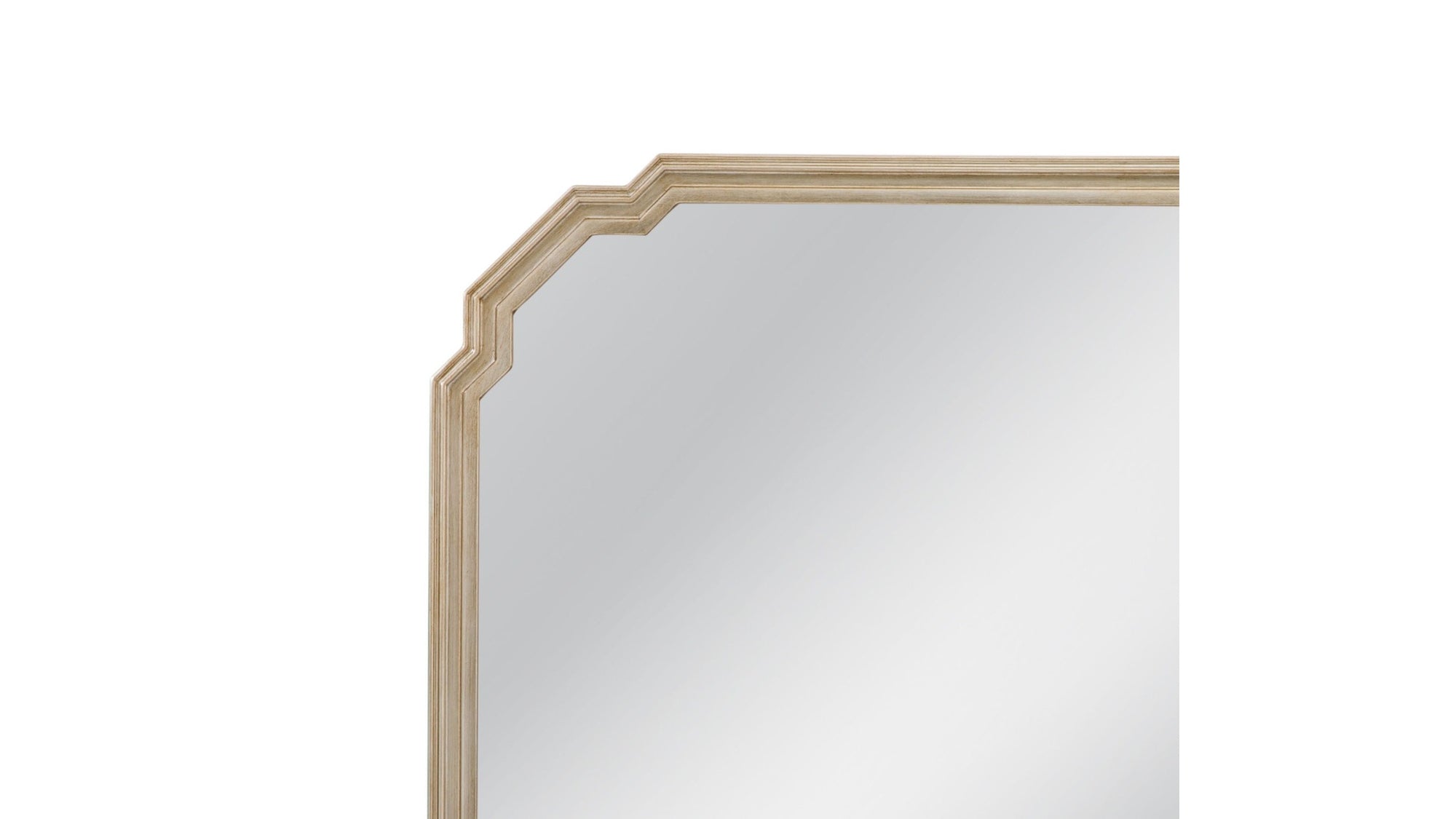 Mimosa - Wall Mirror - Ant Silver Leaf