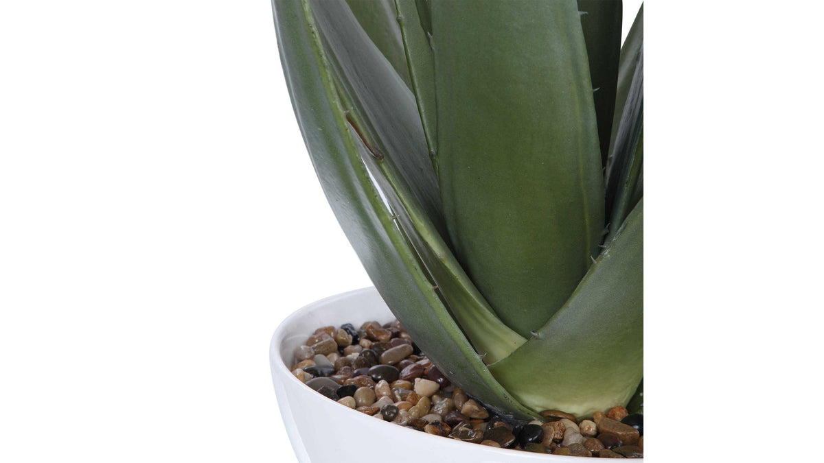 Evarado - Aloe Planter - White