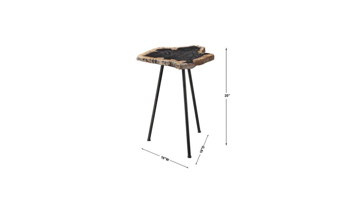 Mircea - Petrified Wood Accent Table - Black & Light Brown