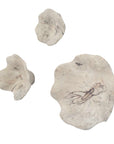 Teo - Wall Decor (Set of 3)