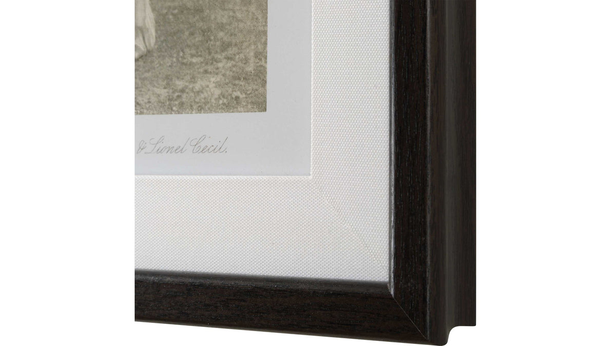 Equine Dynasty - Framed Prints (Set of 9)