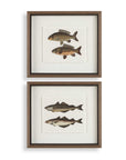 The Catch - Framed Fish Prints (Set of 2) - Black / Brown / Gray / Green / Orange / Woodtone