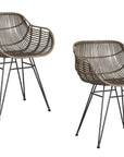 Ryanne - Arm Dining Chair Set of 2 - Dark Rattan / Black