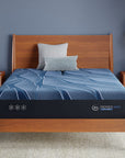 iSeries NXG - 13.5" Hybrid Medium Mattress 3500